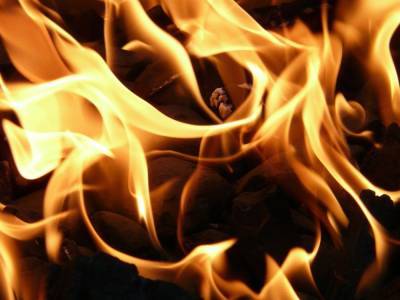 Во время пожара в многоквартирном доме в Ельце погибли двое детей - 7info.ru