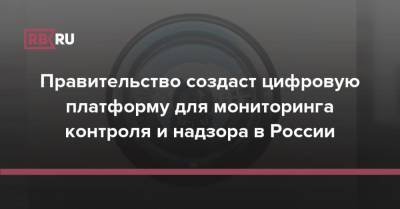 Правительство создаст цифровую платформу для мониторинга контроля и надзора в России - rb.ru - Россия