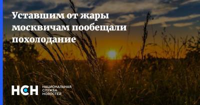 Роман Вильфанд - Уставшим от жары москвичам пообещали похолодание - nsn.fm - Москва - Россия
