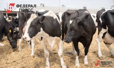 В Югре отмечена вспышка опасного заболевания скота - fedpress.ru - Югра - район Нижневартовский