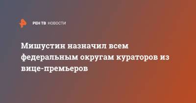 Татьяна Голикова - Александр Новак - Марат Хуснуллин - Михаил Мишустин - Юрий Трутнев - Юрий Борисов - Дмитрий Чернышенко - Викторий Абрамченко - Дмитрий Григоренко - Мишустин назначил всем федеральным округам кураторов из вице-премьеров - ren.tv - Россия - ЦФО - округ Сибирский