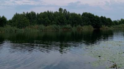 В реке Битюг в Воронежской области утонул пенсионер - vestivrn.ru - Воронежская обл.