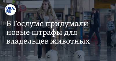 Владимир Бурматов - В Госдуме придумали новые штрафы для владельцев животных - ura.news - Россия