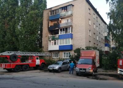 Два ребенка из многодетной семьи погибли на пожаре в Ельце из-за натяжного потолка - province.ru