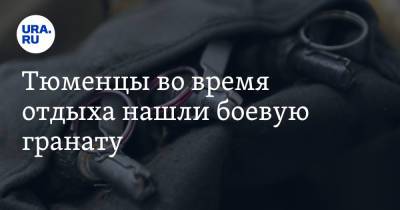 Тюменцы во время отдыха нашли боевую гранату. Фото - ura.news - Тюменская обл. - район Исетский