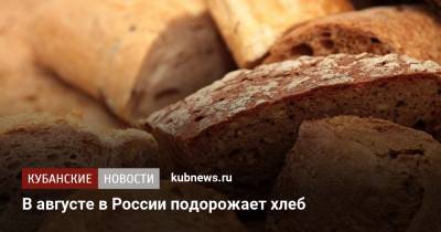 В августе в России подорожает хлеб - kubnews.ru - Россия