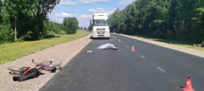Водитель из Карелии на «Камазе» насмерть сбил велосипедиста в Архангельской области - stolicaonego.ru - Архангельская обл. - Северодвинск - Вельск - республика Карелия