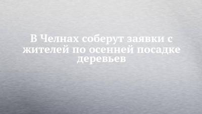 Наиль Магдеев - В Челнах соберут заявки с жителей по осенней посадке деревьев - chelny-izvest.ru - Набережные Челны