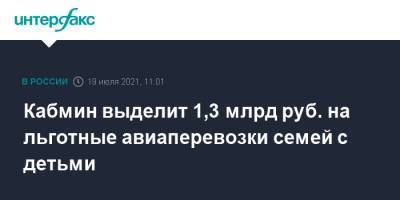 Михаил Мишустин - Кабмин выделит 1,3 млрд руб. на льготные авиаперевозки семей с детьми - interfax.ru - Москва - Россия - Калининград - Южно-Сахалинск