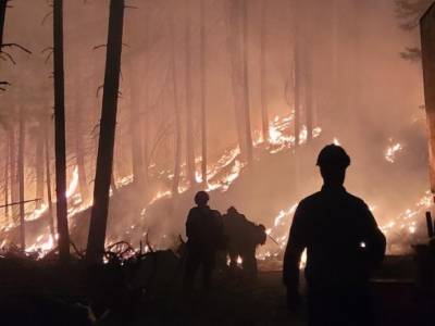 В США природные пожары охватили более 470 тыс. гектаров земли - unn.com.ua - США - Украина - Киев - USA - шт. Калифорния - штат Монтана - штат Орегон - штат Айдахо