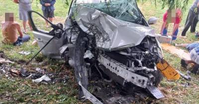 В Ford Focus сели 12 человек: на Волыни произошло смертельное ДТП (фото, видео) - focus.ua - Украина - Луцк - Волынская обл.