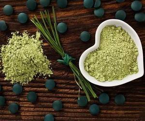 2 самых мощных и питательных продукта на Земле - goodnews.ua