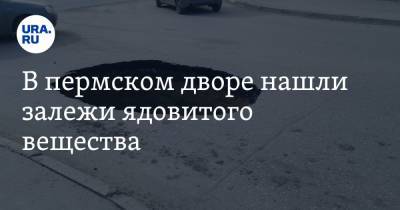 В пермском дворе нашли залежи ядовитого вещества - ura.news - Пермь