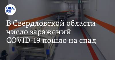 В Свердловской области число заражений COVID-19 пошло на спад - ura.news - Свердловская обл.
