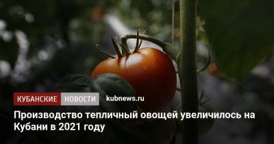 Вениамин Кондратьев - Производство тепличный овощей увеличилось на Кубани в 2021 году - kubnews.ru - Россия - Краснодарский край