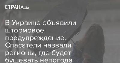 Наталья Диденко - В Украине объявили штормовое предупреждение. Спасатели назвали регионы, где будет бушевать непогода - strana.ua - Украина - Кировоградская обл. - Винницкая обл. - Черкасская обл.