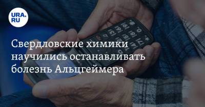 Свердловские химики научились останавливать болезнь Альцгеймера - ura.news - Уральск