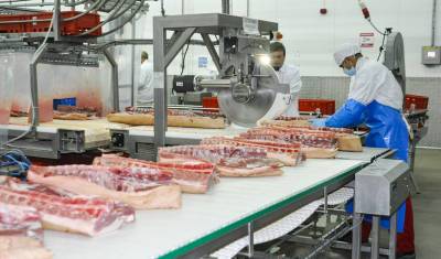 В Башкирии 140 млн рублей инвестируют в новый цех мясоперерабатывающего завода - mkset.ru - Россия - Башкирия