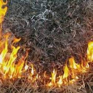 В Запорожье и области объявлена чрезвычайная пожарная опасность - reporter-ua.com - Украина - Запорожская обл. - Запорожье
