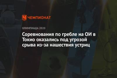 Соревнования по гребле на ОИ в Токио оказались под угрозой срыва из-за нашествия устриц - championat.com - Токио - Япония