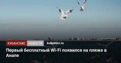 Первый бесплатный Wi-Fi появился на пляже в Анапе - kubnews.ru - Анапа - Краснодарский край
