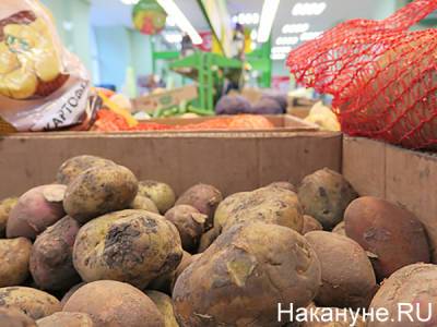 В "ЕР" призвали ввести госрегулирование цен на овощи - nakanune.ru - Россия