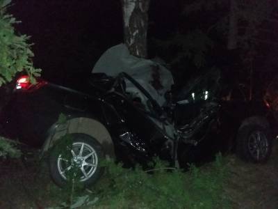 Уголовное дело возбуждено по факту смертельного ДТП в Балахнинском районе - vgoroden.ru - Россия - Нижегородская обл.