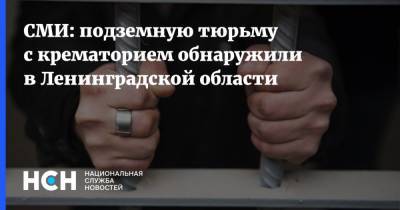 Екатерина Мартынова - Виктор Мохов - СМИ: подземную тюрьму с крематорием обнаружили в Ленинградской области - nsn.fm - Ленинградская обл. - р-н Всеволожский