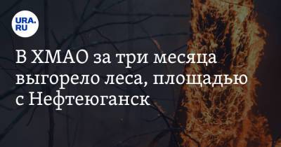 В ХМАО за три месяца выгорело леса, площадью с Нефтеюганск - ura.news - Югра - Нефтеюганск - Березовск