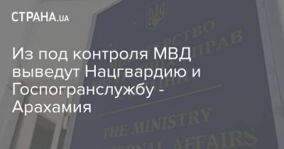 Давид Арахамия - Денис Монастырский - Из под контроля МВД выведут Нацгвардию и Госпогранслужбу - Арахамия - strana.ua - Украина