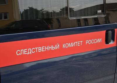 Мать совращенной 14-летней рязанки заявила, что обоюдного согласия не было - ya62.ru - Рязанская обл. - район Рязанский