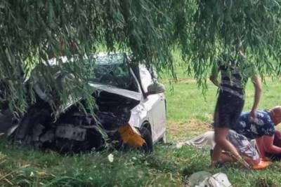 Под Луцком легковой автомобиль с 12 людьми влетел в дерево - rupor.info - Волынская обл.