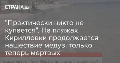 "Практически никто не купается". На пляжах Кирилловки продолжается нашествие медуз, только теперь мертвых - strana.ua - Украина