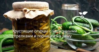 Хрустящие огурцы с чесночными стрелками и горчицей на зиму - skuke.net