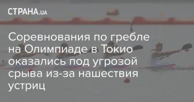 Соревнования по гребле на Олимпиаде в Токио оказались под угрозой срыва из-за нашествия устриц - strana.ua - Украина - Токио - Япония