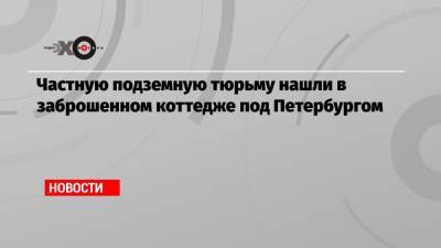 Частную подземную тюрьму нашли в заброшенном коттедже под Петербургом - echo.msk.ru - Санкт-Петербург
