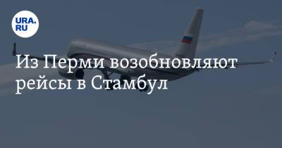 Из Перми возобновляют рейсы в Стамбул - ura.news - Турция - Пермь - Стамбул