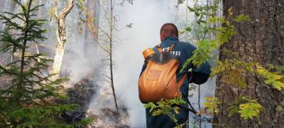 Лесной пожар по дороге в санаторий "Марциальные воды" в Карелии локализован - stolicaonego.ru - республика Карелия