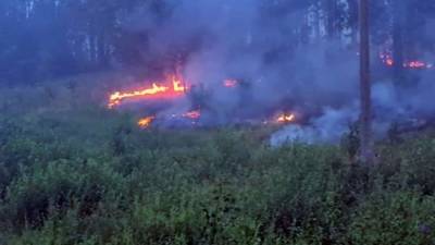 Более 600 человек эвакуировали в Карелии из-за лесных пожаров - iz.ru - Россия - Израиль - район Суоярвский - республика Карелия