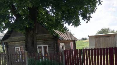 Ольга Чемоданова - Под Борисовом таксиста насильно вывезли в лес и требовали деньги под угрозой поджога - belta.by - Белоруссия - Минск