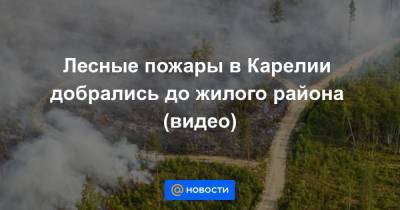 Лесные пожары в Карелии добрались до жилого района (видео) - news.mail.ru - Россия - республика Карелия