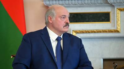 Александр Лукашенко - Лукашенко заявил, что литовские группировки сами незаконно ввозят мигрантов - russian.rt.com - Белоруссия - Литва - Вильнюс - Минск