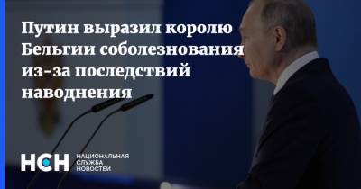 Владимир Путин - король Филипп - Путин выразил королю Бельгии соболезнования из-за последствий наводнения - nsn.fm - Россия - Бельгия - Люксембург