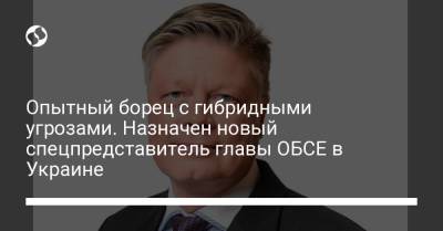 Линда Анн - Хайди Грау - Опытный борец с гибридными угрозами. Назначен новый спецпредставитель главы ОБСЕ в Украине - liga.net - Украина - Швейцария - Финляндия