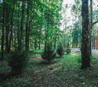 Часть деревьев высадят в нижегородском парке «Швейцария» осенью - vgoroden.ru - Швейцария - Нижний Новгород - Благоустройство