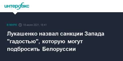 Александр Лукашенко - Лукашенко назвал санкции Запада "гадостью", которую могут подбросить Белоруссии - interfax.ru - Москва - Белоруссия