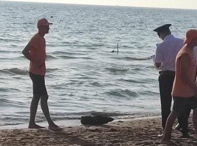 В Анапе на берег вынесло снаряд времен Великой Отечественной войны - bloknot.ru - Анапа