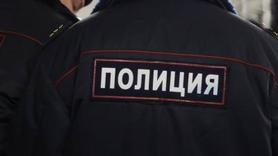 В МВД раскрыли подробности задержания женщины на юге Москвы - 5-tv.ru - Москва - Россия