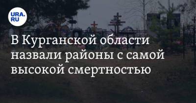 В Курганской области назвали районы с самой высокой смертностью - ura.news - Курганская обл.