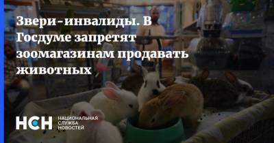 Владимир Бурматов - Звери-инвалиды. В Госдуме запретят зоомагазинам продавать животных - nsn.fm - Россия